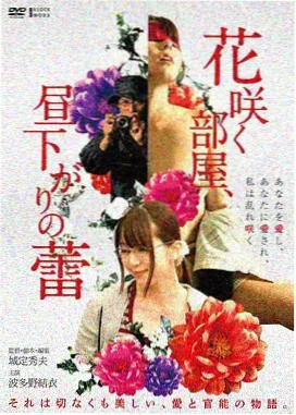 披荆斩棘2026衍生综艺定档